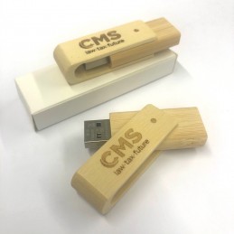 USB Memory drive 8GB (PU 5 pcs.)